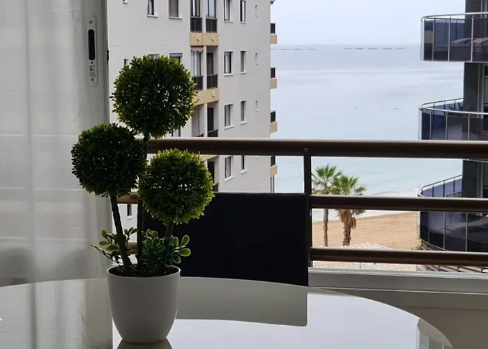 Piso - 2º Linea * Calp